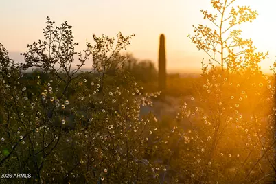 31275 N Crown King Lane, Queen Creek, AZ 85144 - Photo 7