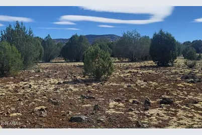 304 Olivas Alone Road #304, Williams, AZ 86046 - Photo 7