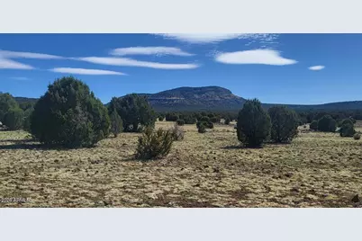 304 Olivas Alone Road #304, Williams, AZ 86046 - Photo 9