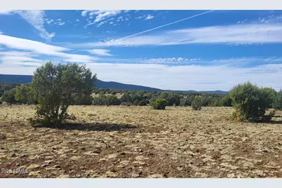 304 Olivas Alone Road #304, Williams, AZ 86046 - Photo 15