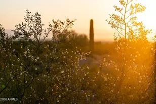 31297 N Crown King Ln, Queen Creek, AZ 85144 - Photo 7