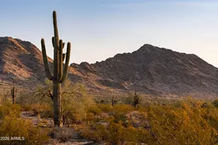 31297 N Crown King Ln, Queen Creek, AZ 85144 - Photo 9