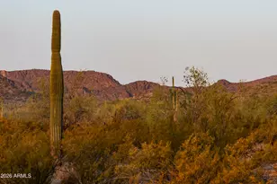 31321 N Crown King Ln, Queen Creek, AZ 85144 - Photo 5