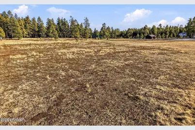 179 County Road 2266 -- #3, Alpine, AZ 85920 - Photo 5