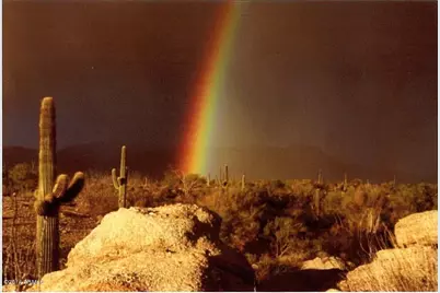 148Xx E Wildcat Drive #B, Scottsdale, AZ 85262 - Photo 23