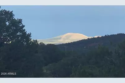 Lot 20 Mountain Pine Road #20, Vernon, AZ 85940 - Photo 3