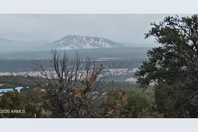 Lot 20 Mountain Pine Road #20, Vernon, AZ 85940 - Photo 7