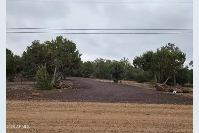 Lot 20 Mountain Pine Road #20, Vernon, AZ 85940 - Photo 15