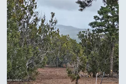 Lot 20 Mountain Pine Road #20, Vernon, AZ 85940 - Photo 19