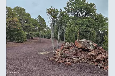 Lot 20 Mountain Pine Road #20, Vernon, AZ 85940 - Photo 17