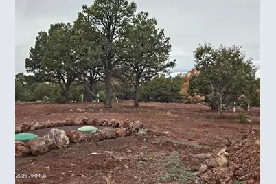 Lot 20 Mountain Pine Road #20, Vernon, AZ 85940 - Photo 11