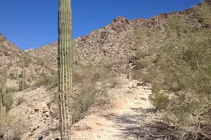 16442 S 16th Ln, Phoenix, AZ 85045 - Photo 31