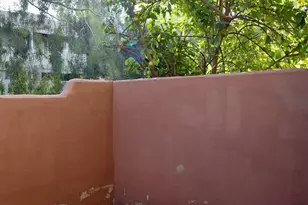 1425 E Desert Cove Ave, Phoenix, AZ 85020 - Photo 25