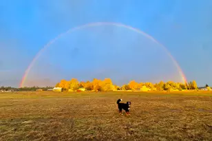 10272 Fw McLure Rd, Flagstaff, AZ 86004 - Photo 19