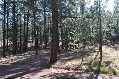 37 N 1330 -- #19, Greer, AZ 85927 - Photo 7