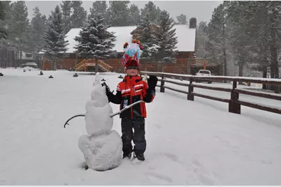 37 N Crn 1330 Road #19, Greer, AZ 85927 - Photo 11