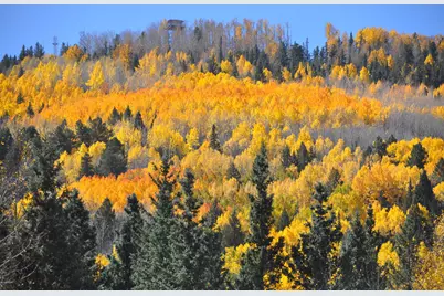 37 N Crn 1330 Road #19, Greer, AZ 85927 - Photo 5