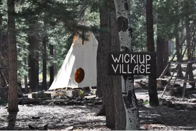 37 N Crn 1330 Road #19, Greer, AZ 85927 - Photo 7