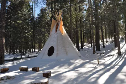 37 N 1330 -- #19, Greer, AZ 85927 - Photo 33
