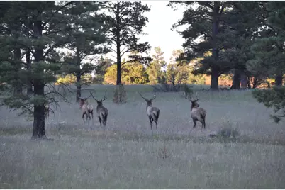 37 N 1330 -- #19, Greer, AZ 85927 - Photo 25