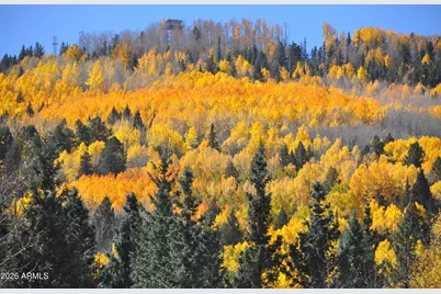 37 N 1330 -- #19, Greer, AZ 85927 - Photo 31