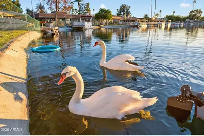 13806 N Crown Point, Sun City, AZ 85351 - Photo 31