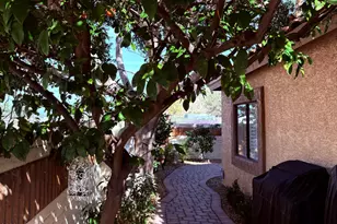 1636 E Villa Theresa Dr, Phoenix, AZ 85022 - Photo 47