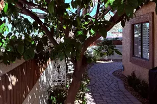 1636 E Villa Theresa Dr, Phoenix, AZ 85022 - Photo 45