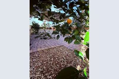 1636 E Villa Theresa Drive, Phoenix, AZ 85022 - Photo 41