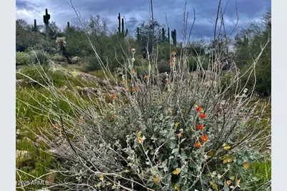 43Xxx N 10th Street #-, New River, AZ 85087 - Photo 43