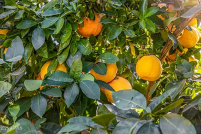 6726 N 11th Street, Phoenix, AZ 85014 - Photo 49