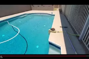 11430 N 37th Ave, Phoenix, AZ 85029 - Photo 3