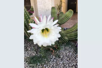 7300 N Dreamy Draw Drive #103, Phoenix, AZ 85020 - Photo 33