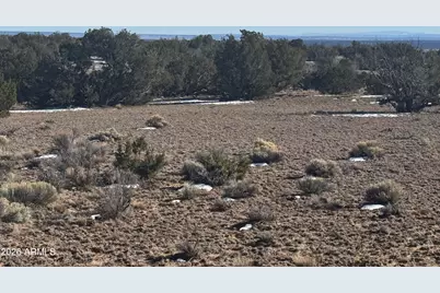 Lot 76 Red Sky Ranch -- #76, Saint Johns, AZ 85936 - Photo 13