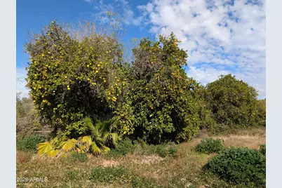 12630 E Vallejo Street #-, Chandler, AZ 85249 - Photo 3