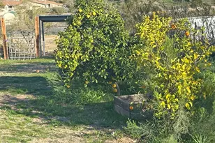 850 S 336th Ave, Wickenburg, AZ 85390 - Photo 13