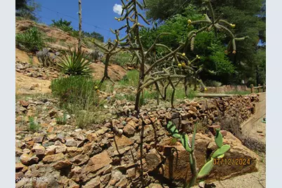 60 Wood Canyon, Bisbee, AZ 85603 - Photo 43