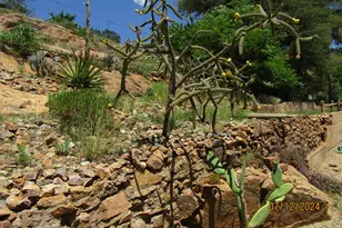 60 Wood Canyon, Bisbee, AZ 85603 - Photo 43