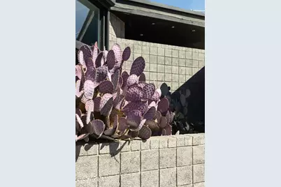 3126 N 6th Avenue, Phoenix, AZ 85013 - Photo 55