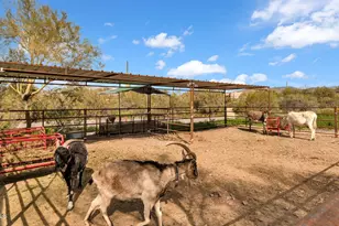 6447 E Lone Mountain Rd N, Cave Creek, AZ 85331 - Photo 35