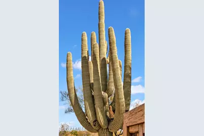 6447 E Lone Mountain Road N, Cave Creek, AZ 85331 - Photo 21