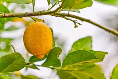 2119 E Vaughn Street, Tempe, AZ 85283 - Photo 33