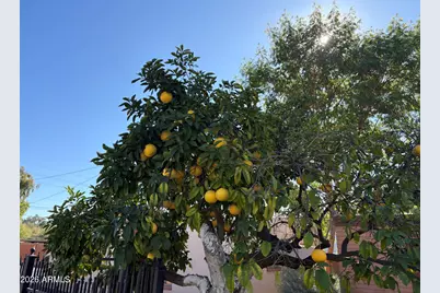 5236 N 20th Street #C4, Phoenix, AZ 85016 - Photo 27