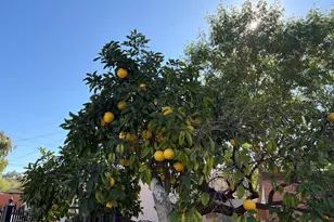 5236 N 20th St, Phoenix, AZ 85016 - Photo 27