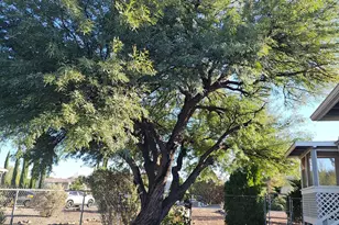 5283 E Brickey Dr, Hereford, AZ 85615 - Photo 13