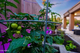 9654 E Celtic Dr, Scottsdale, AZ 85260 - Photo 47