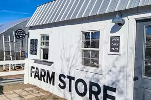 5108 S Planck Ln, Mesa, AZ 85212 - Photo 73