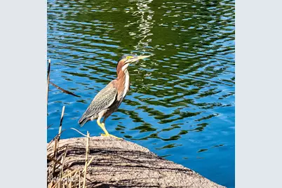 5108 S Planck Lane, Mesa, AZ 85212 - Photo 73