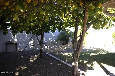 6502 E Sweetwater Avenue, Scottsdale, AZ 85254 - Photo 29