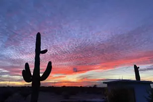 1081 W Dana Ave, Florence, AZ 85132 - Photo 39